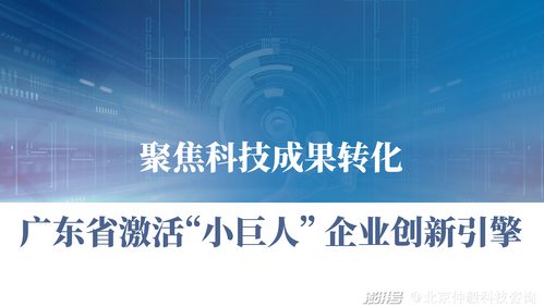 仲毅咨詢 聚焦科技成果轉(zhuǎn)化，激活廣東中小企業(yè)創(chuàng)新引擎