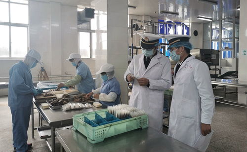 強(qiáng)化線上服務(wù)，鎮(zhèn)海海關(guān)護(hù)航食品農(nóng)產(chǎn)品出口
