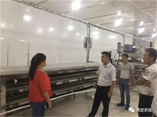 北京貴州米粉廠里的“金融夜?！?一碗粉背后的社會(huì)經(jīng)濟(jì)咨詢服務(wù)